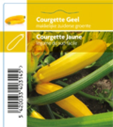 Courgette jaune (tray 12 pot)